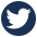 social media icon 1