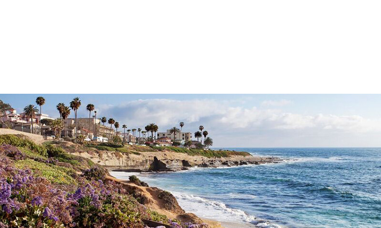 San Diego image